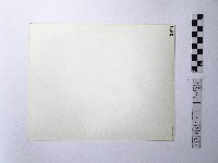 黃則修攝野柳地景藏品圖，第2張