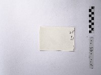 黃則修攝野柳地景藏品圖，第2張