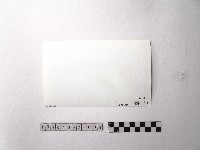 黃則修攝野柳地景藏品圖，第2張