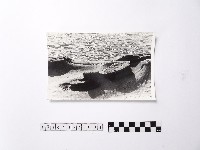 黃則修攝野柳地景藏品圖，第1張