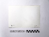 黃則修攝野柳地景藏品圖，第2張