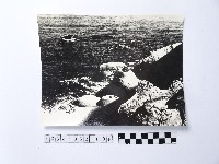 黃則修攝野柳地景藏品圖，第1張