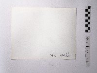 黃則修攝野柳地景藏品圖，第2張