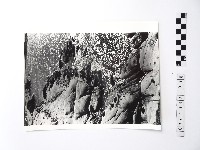 黃則修攝野柳地景藏品圖，第1張