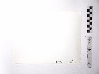 黃則修攝野柳地景藏品圖，第2張