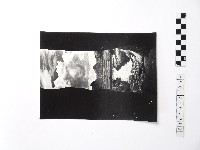 黃則修攝野柳地景藏品圖，第1張