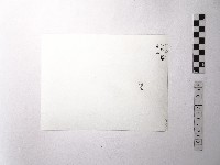 黃則修攝野柳地景藏品圖，第2張