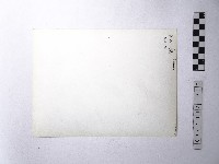 黃則修攝野柳地景藏品圖，第2張