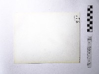 黃則修攝野柳地景藏品圖，第2張