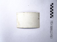 黃則修攝野柳地景樂園福德公藏品圖，第2張