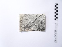 黃則修攝野柳地景樂園福德公藏品圖，第1張