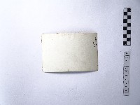 黃則修攝野柳地景樂園福德公藏品圖，第2張