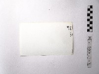 黃則修攝野柳地景藏品圖，第2張