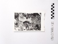 黃則修攝野柳地景藏品圖，第1張