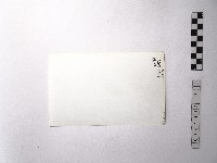 黃則修攝野柳地景藏品圖，第2張