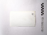 黃則修攝野柳地景藏品圖，第2張