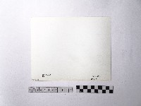 黃則修攝野柳地景藏品圖，第2張