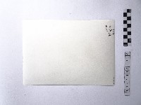 黃則修攝野柳地景藏品圖，第2張