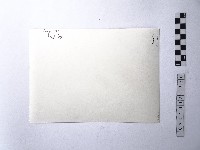 黃則修攝野柳地景藏品圖，第2張