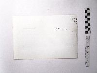 黃則修攝野柳地景藏品圖，第2張