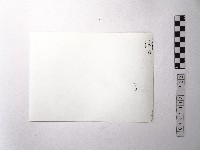 黃則修攝野柳地景藏品圖，第2張