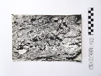 黃則修攝野柳地景藏品圖，第1張