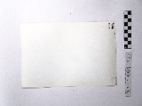 黃則修攝野柳地景藏品圖，第2張