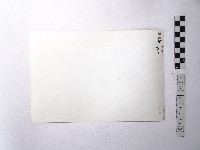 黃則修攝野柳地景藏品圖，第2張