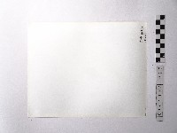 黃則修攝野柳地景藏品圖，第2張