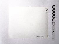 黃則修攝野柳地景藏品圖，第2張