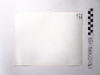 黃則修攝野柳地景藏品圖，第2張