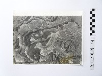 黃則修攝野柳地景藏品圖，第1張