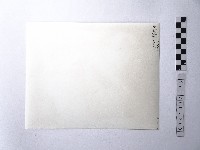 黃則修攝野柳地景藏品圖，第2張