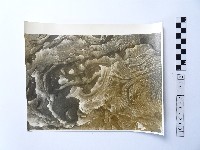 黃則修攝野柳地景藏品圖，第1張