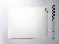 黃則修攝野柳地景藏品圖，第2張