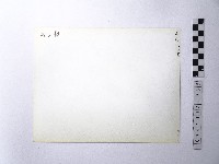 黃則修攝野柳地景藏品圖，第2張