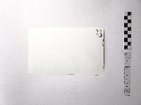 黃則修攝野柳地景女王頭藏品圖，第2張