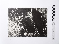 黃則修攝野柳地景藏品圖，第1張