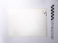 黃則修攝野柳地景藏品圖，第2張