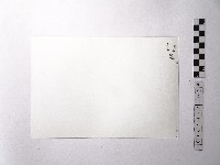 黃則修攝野柳地景藏品圖，第2張