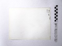 黃則修攝野柳地景藏品圖，第2張