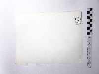 黃則修攝野柳地景藏品圖，第2張