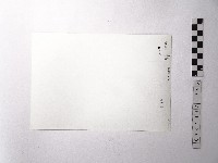 黃則修攝野柳地景藏品圖，第2張