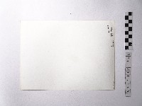 黃則修攝野柳地景蜂窩岩藏品圖，第2張