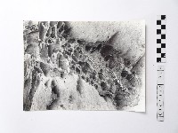 黃則修攝野柳地景藏品圖，第1張