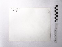 黃則修攝野柳地景蜂窩岩藏品圖，第2張