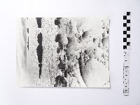 黃則修攝野柳地景藏品圖，第1張