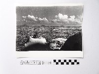 黃則修攝野柳地景燭臺石藏品圖，第1張