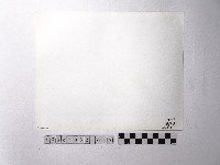 黃則修攝野柳地景燭臺石藏品圖，第2張