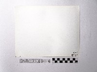 黃則修攝野柳地景藏品圖，第2張